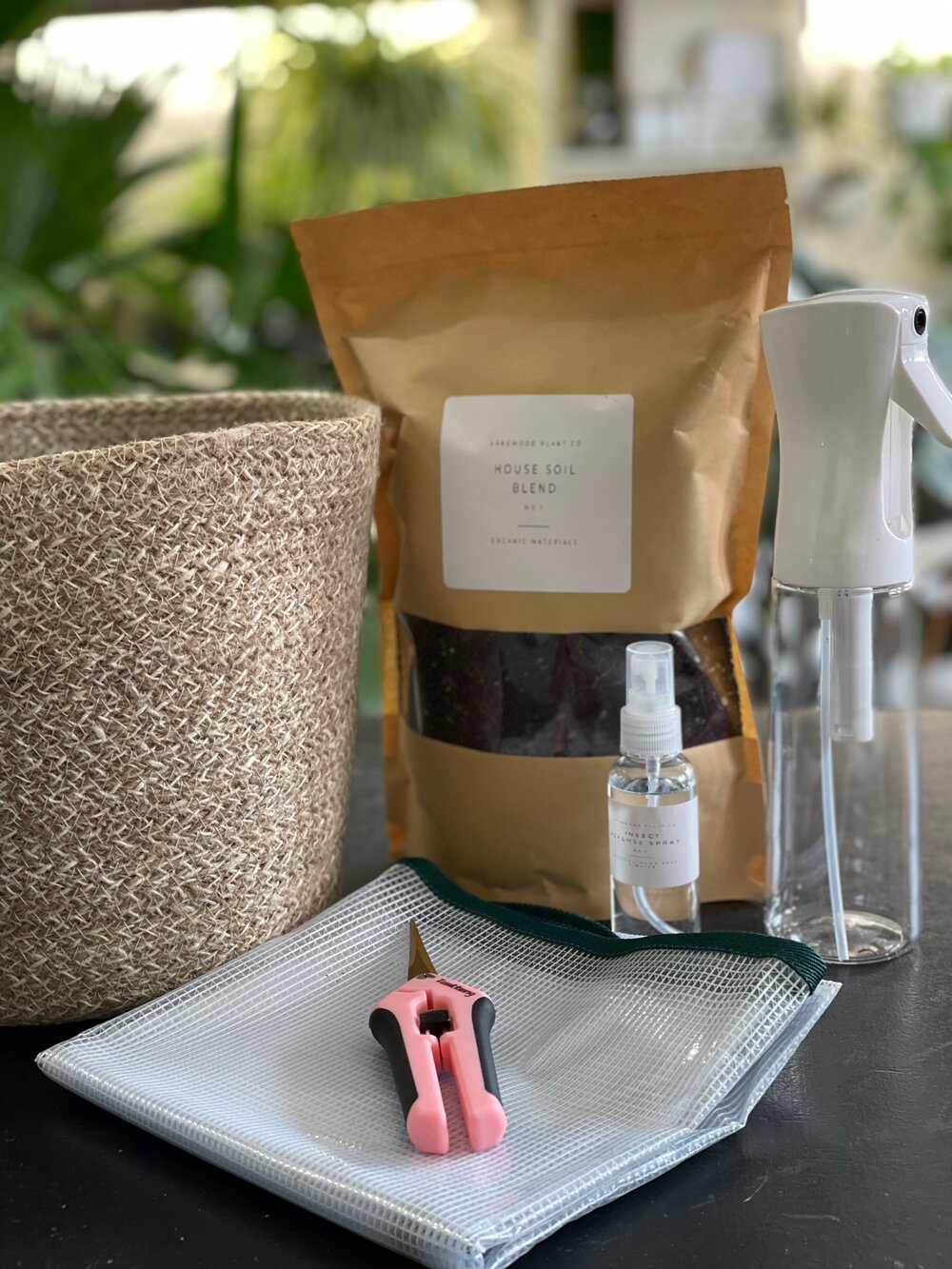 house plant kit gift Plant Care Gift Set – Lakewood Plant Company