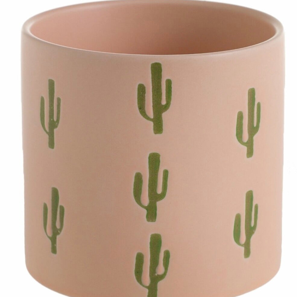Desert Inspired Slip Planter, 4.25-inch