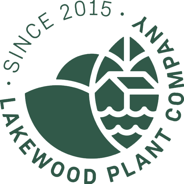 money tree lakewood colorado Money Tree – Lakewood Plant Company